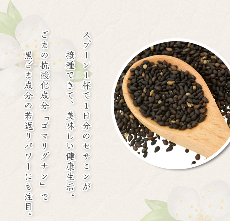 厳選黒ごまはちみつ