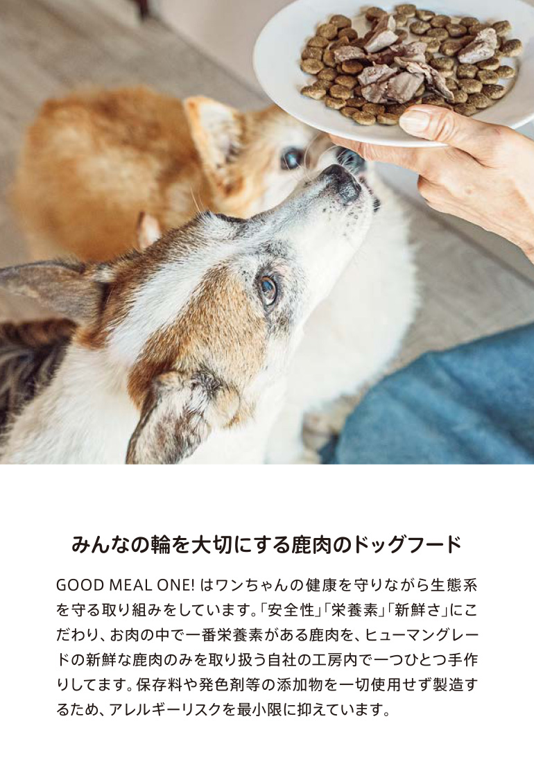 京都産・天然鹿のジャーキー