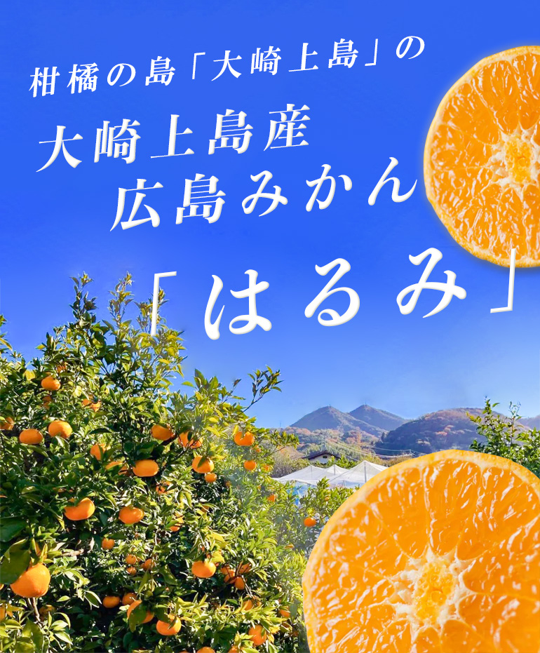 大崎上島産はるみ【ちょっぴり贅沢な柑橘の王様】
