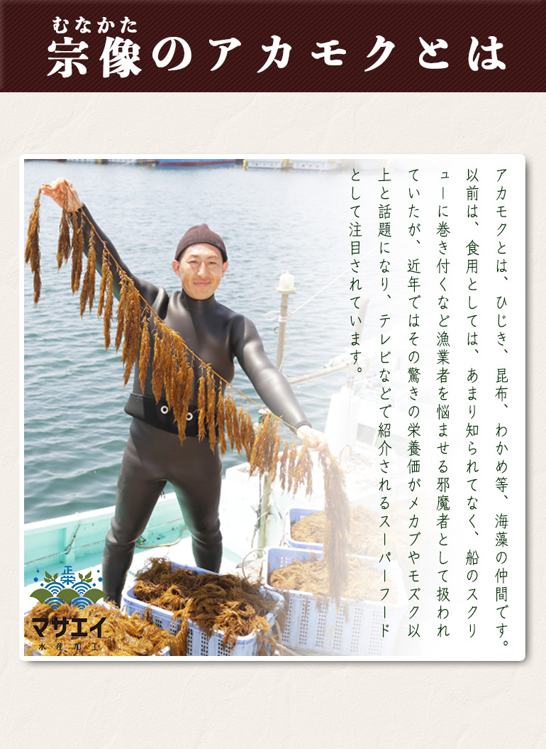 宗像のアカモク