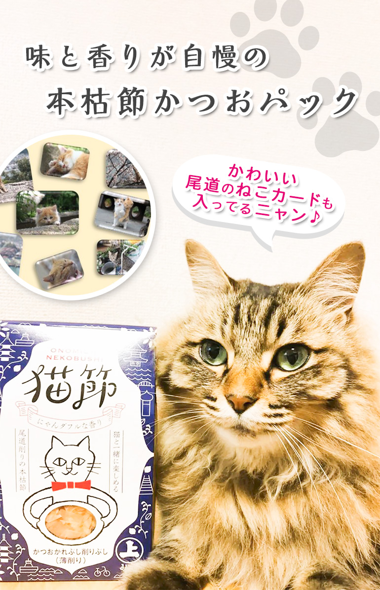 猫節