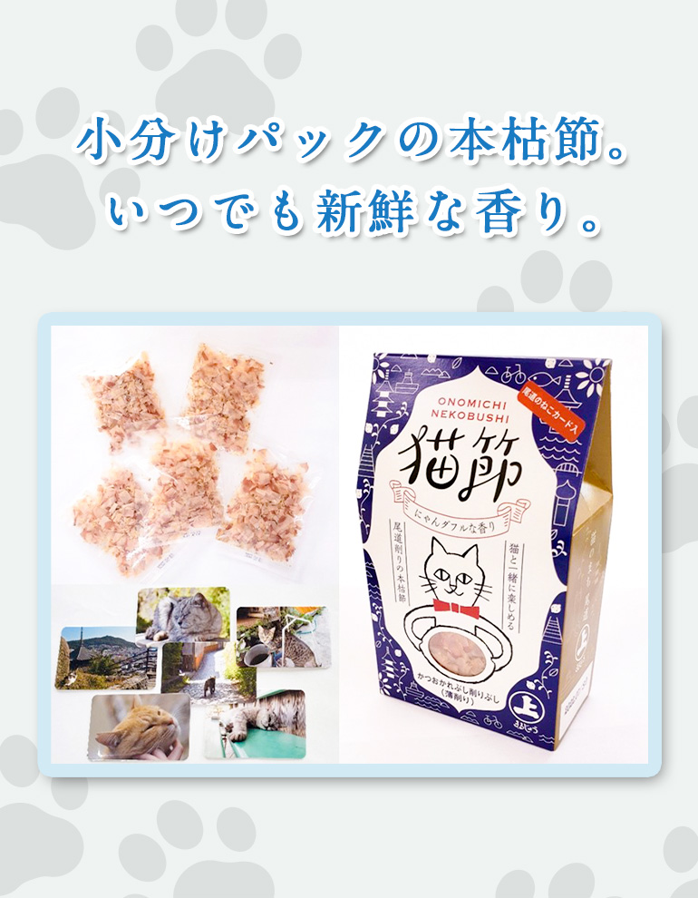 猫節