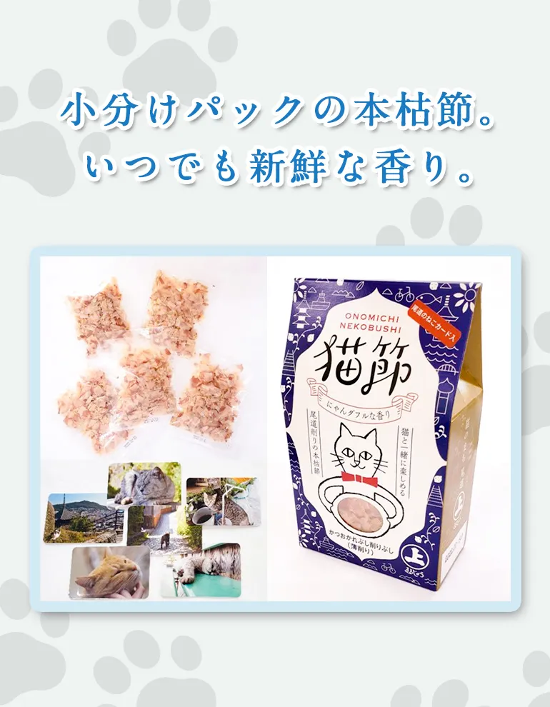 猫節