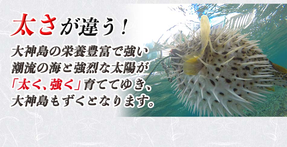 大神島もずく（200g*10パック）