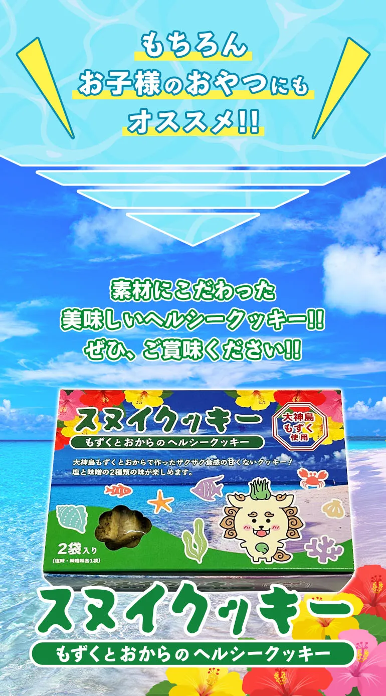 【卸販売】スヌイクッキー
