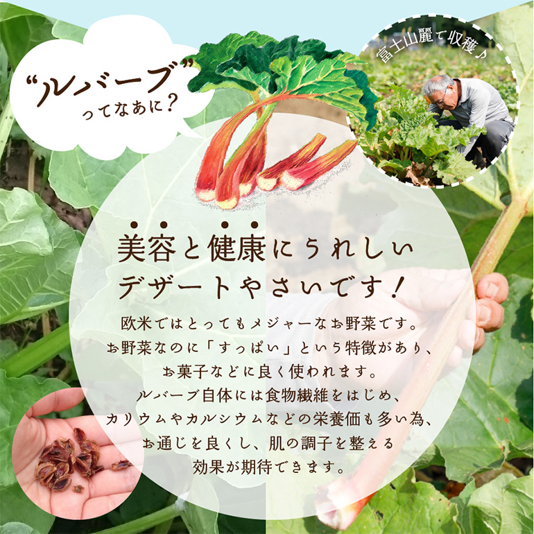 ルバーブ グリーン スムージー