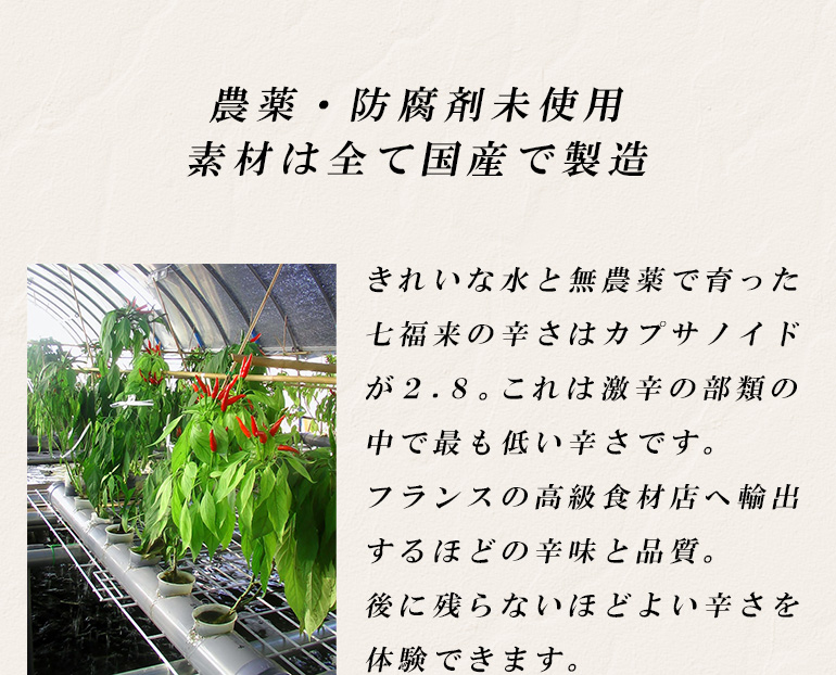 開運七味唐がらし七福来（瓶）