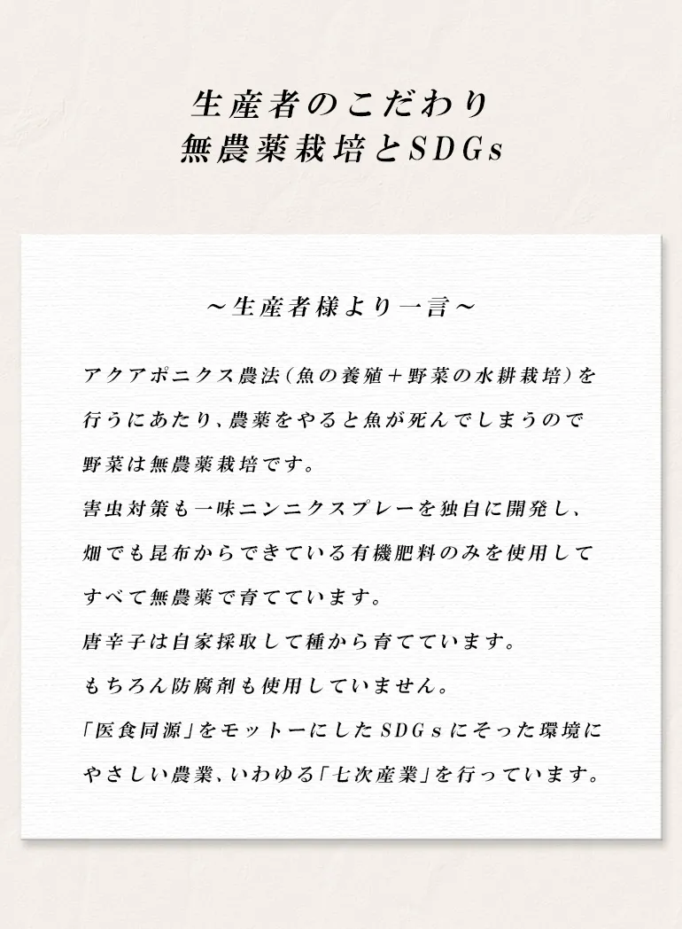 開運七味唐がらし七福来（瓶）