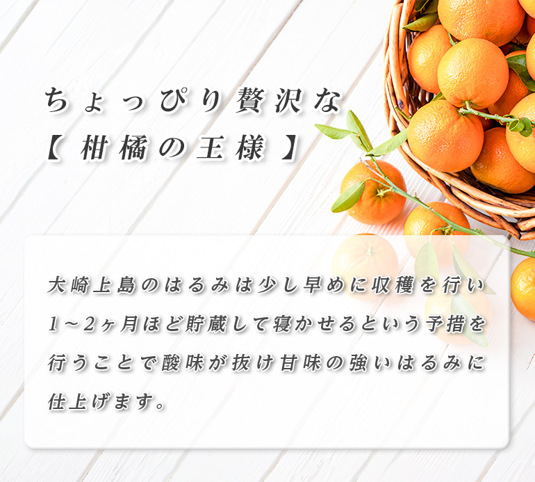 大崎上島産はるみ【ちょっぴり贅沢な柑橘の王様】